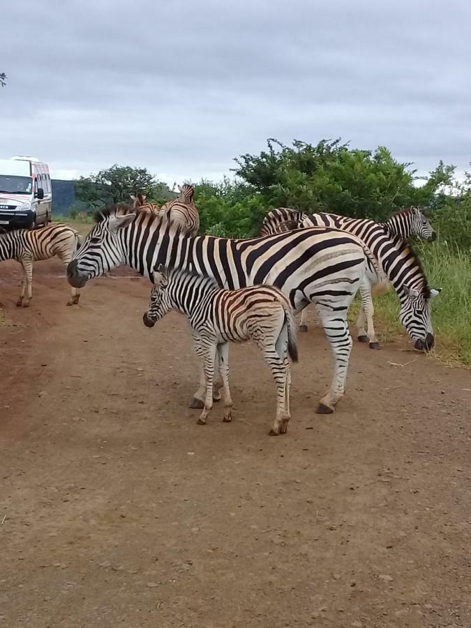Hotel Hluhluwe Gate Safari Camp Exterior foto